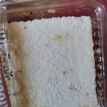 BİM Market Bozuk Ürün Satıyor!