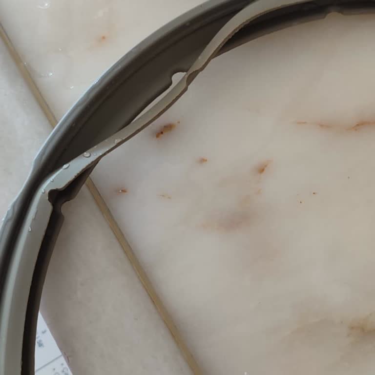 Karaca Züccaciye Karaca Düdüklü Tencere Conta Yedek Parça