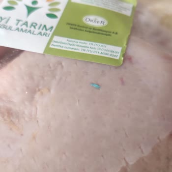 Gedik Piliç Yabancı Cisim Çıktı!