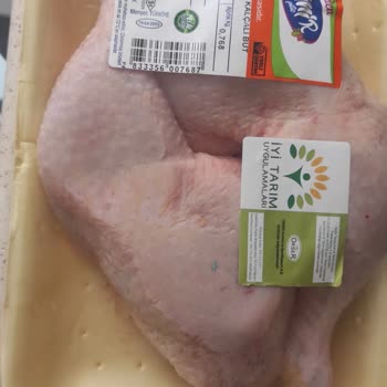 Gedik Piliç Yabancı Cisim Çıktı!