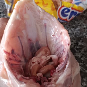 Erpiliç Tavuğun İçi Temizlenmemiş