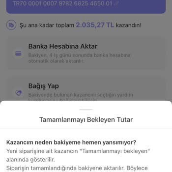 Dolap Satışımdan Kazandığım Miktar Hesabıma Yatırılmıyor.