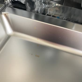 Bosch Bulaşık Makinesi Pas Akıtıyor