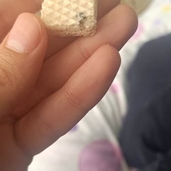 Eti Gıda Eti Hoşbeş Gofretten Böceğe Benzeyen Garip Siyah Bir Cisim Çıktı