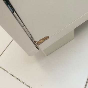 Tiamob Hasarlı Ve Kötü Ürün Gönderimi