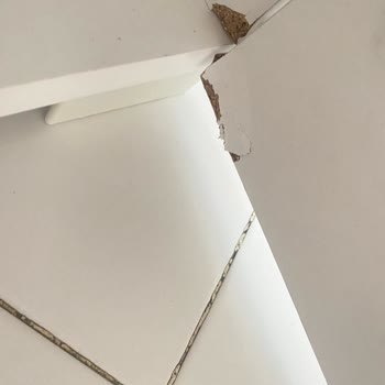 Tiamob Hasarlı Ve Kötü Ürün Gönderimi