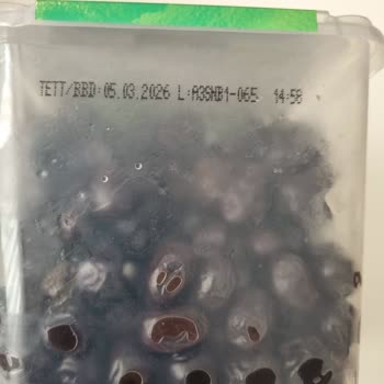 A101 Küflü Zeytin İade Edemedik