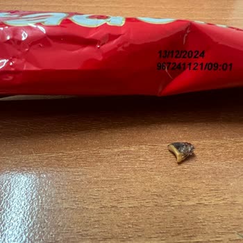 Tadelle King Size Yabancı Cisim