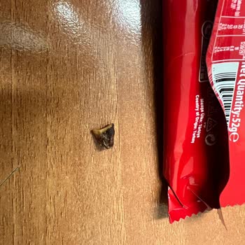 Tadelle King Size Yabancı Cisim