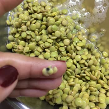 Yeşil Mercimekte Böcek Çıktı...