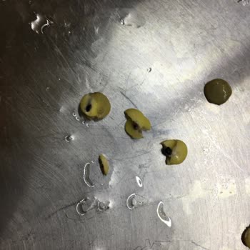 Yeşil Mercimekte Böcek Çıktı...