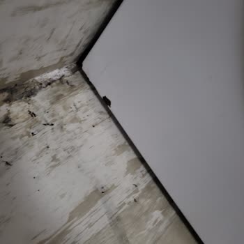 Arçelik 8145 Yk Çamaşır Makinesi Sorunu