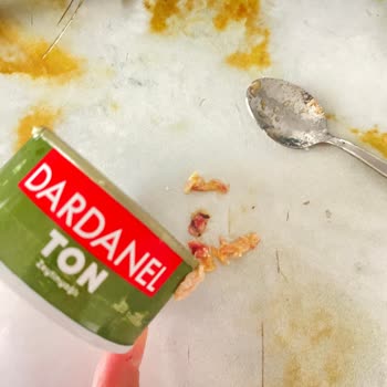 Dardanel'in İçinden Kurt Çıktı!