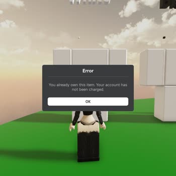 Robux Karşılığı Alınamayan Ürün Sorunu