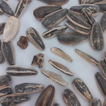 Gold Harvest Kuruyemiş Ürün Kalitesi Ve İçerik Sorunları