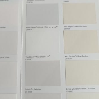 Polisan Boya Rengi Farklı