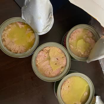Dardanel Tarihi Olan Ürünün Bozuk Çıkması