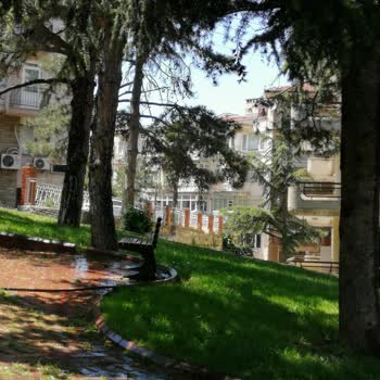 Bursa Büyükşehir Belediyesi Büyükşehir Belediyesi İşini Yapmıyor Maalesef
