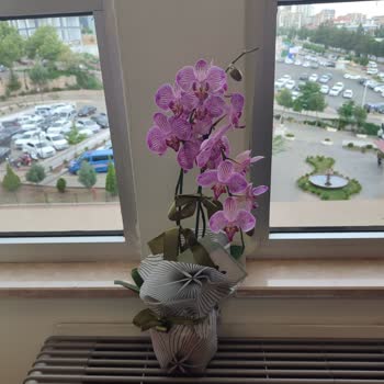 Çiçek Sepeti Kalitesiz Çiçek Gönderimi