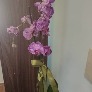 Çiçek Sepeti Kalitesiz Çiçek Gönderimi