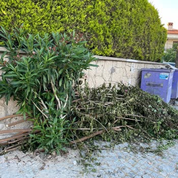 Çeşme Belediyesi Alacati Ev Önündeki Cop Konteynerleri