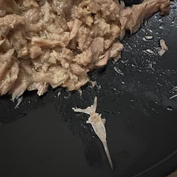 Derya Ton Balığı Ton Balığı Konservesinden Kılçık Çıktı.!