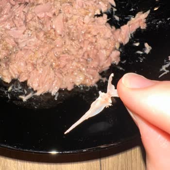 Derya Ton Balığı Ton Balığı Konservesinden Kılçık Çıktı.!