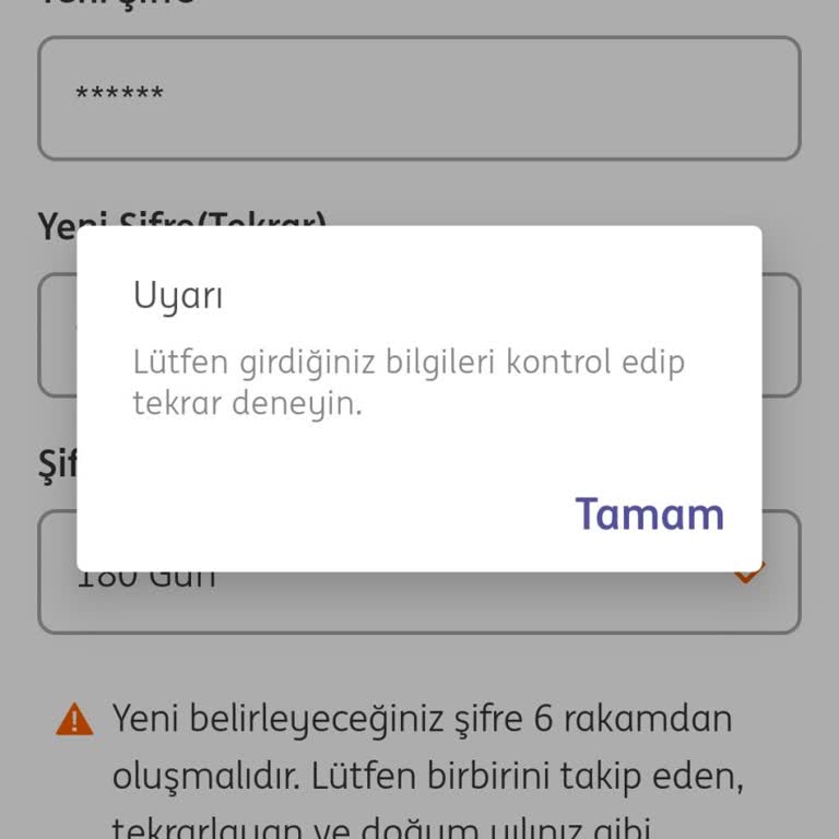 ING Mobil Uygulamaya Giriş Yapamıyorum