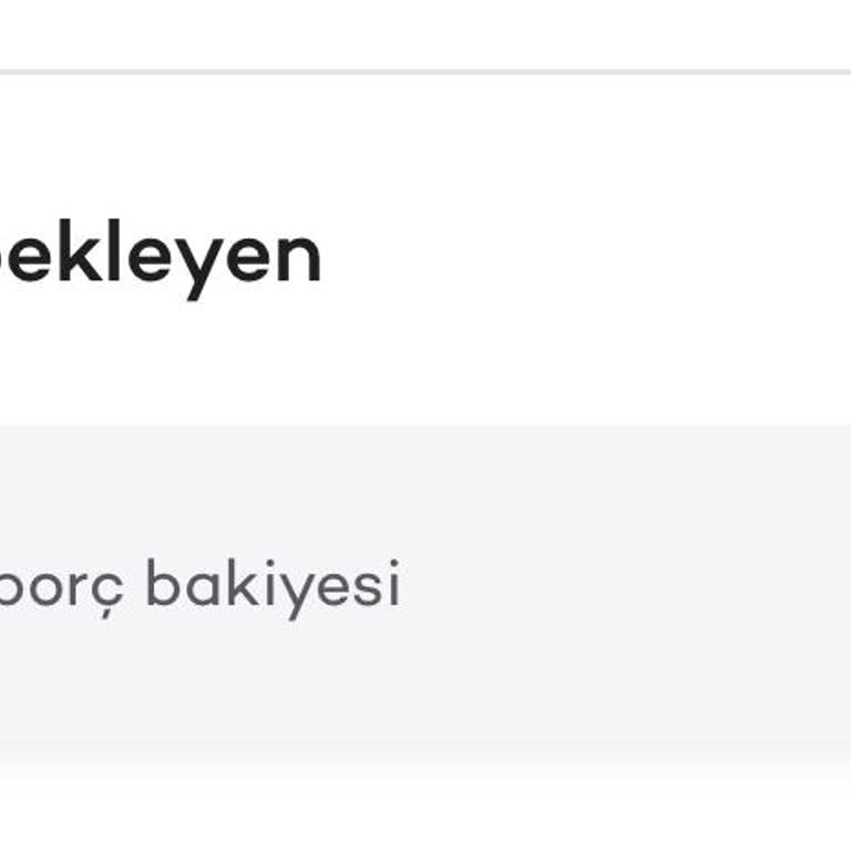 Ak Yatırım 275 TL Borç Olarak Görünüyor