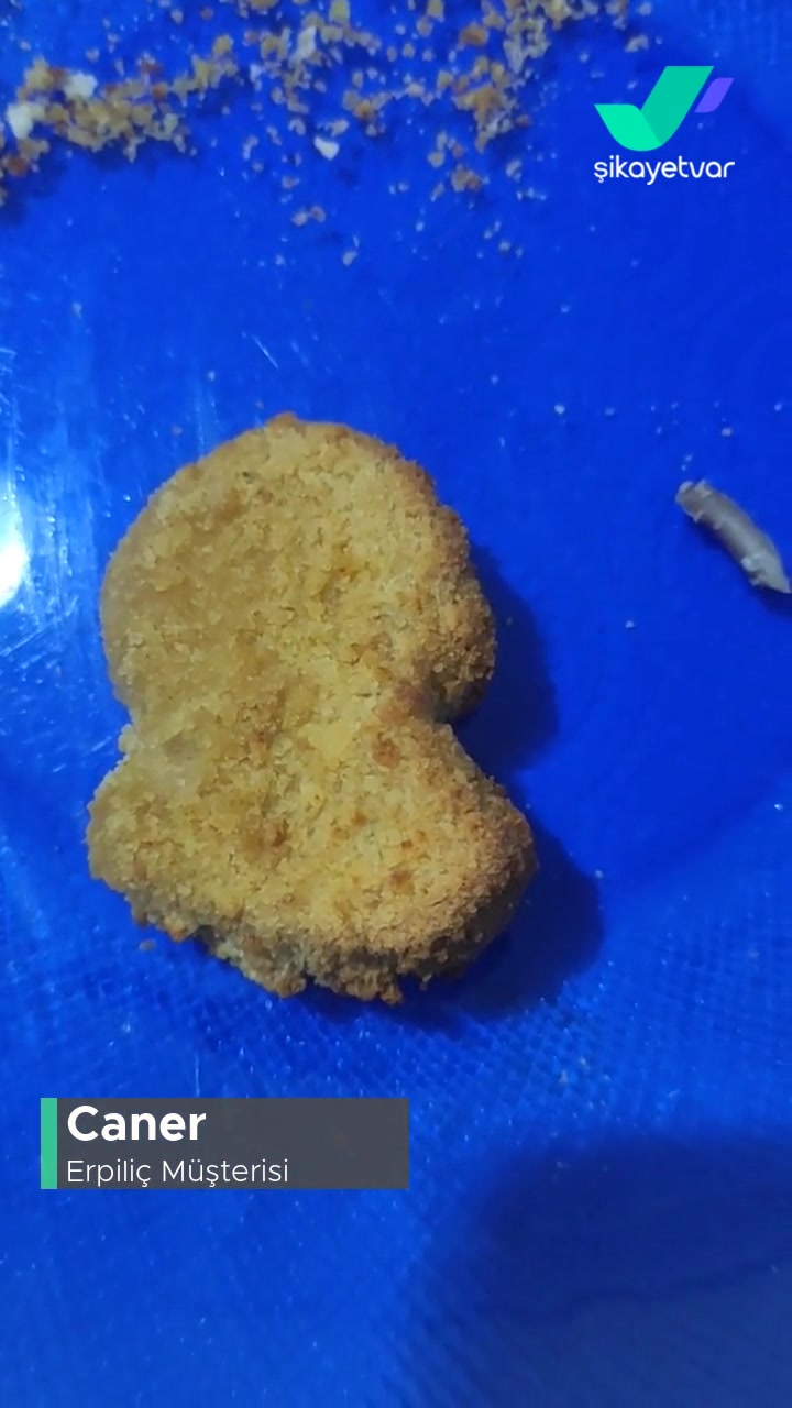 BİM Erpiliç Şinitzel Ve İçinden Çıkan! videonun kapak resmi