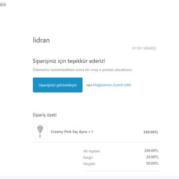 Shopier Ürünüm Elime Gelmedi Ve Satıcı Kayıp