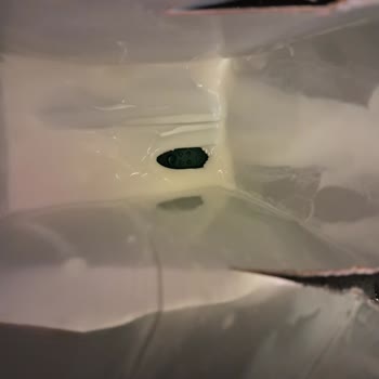 Sütaş 1 Litrelik Bozuk Süt