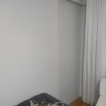 Dyo Buz Gümüşü Rengi