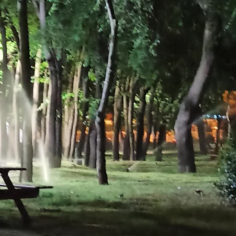 İBB - İstanbul Büyükşehir Belediyesi Park Ve Bahçeler Müdürlüğü Şikayeti!