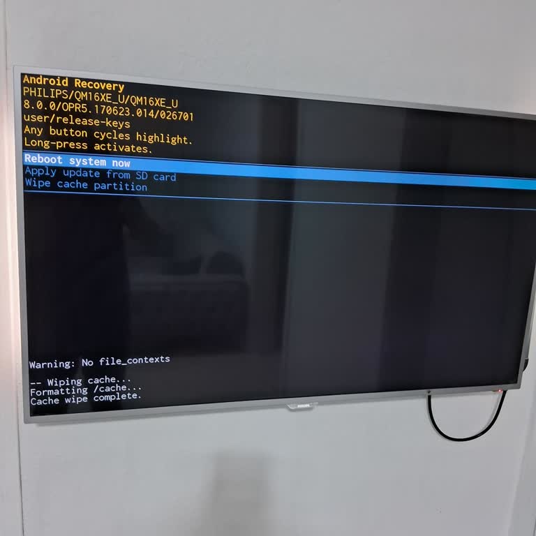 Philips TV 49pus6501/12 Saçma Arıza