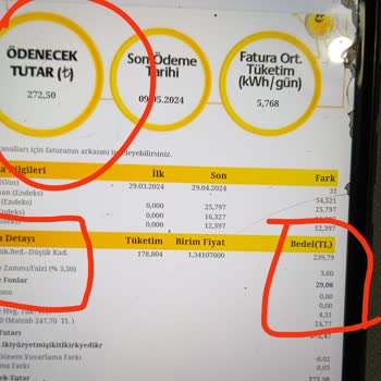 AYEDAŞ Acil Düzeltilsin Fazla Gelen Fatura