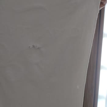 Sarot Termal Mutsuz Devre Mülk Malikleri