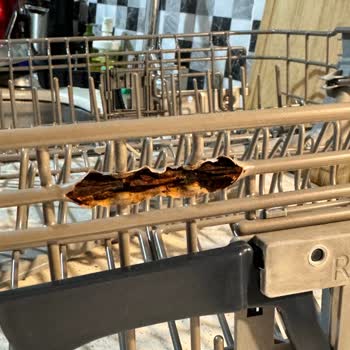 Samsung Paslanan Bulaşık Makinesi