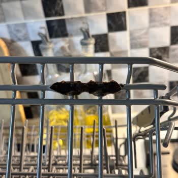 Samsung Paslanan Bulaşık Makinesi