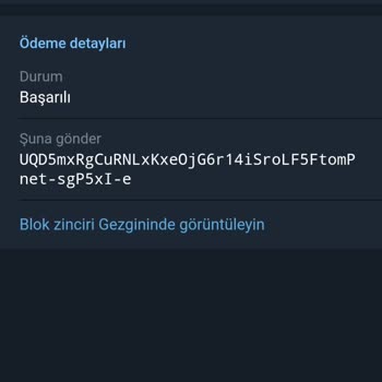 Binance Hesabına Gönderilen Notcoinler Görünmüyor: Kurtarma İşlemleri Ve Dil Sorunları...