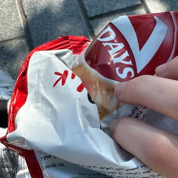 7days Croissant Kruvasandan Sinek Çıktı