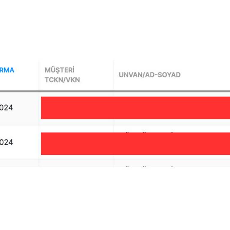 Mikro Yazılım Ve Paraşüt Firmaları Mağdur Ediyor.