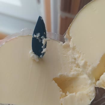 Güneşoğlu Süt Gıda Güneşoğlu 250gr Tereyağı