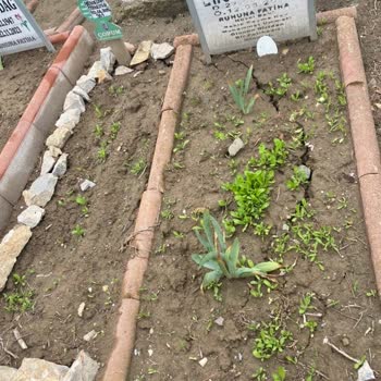 Çorum Belediyesi Mezarlıklar Genel Müdürlüğü