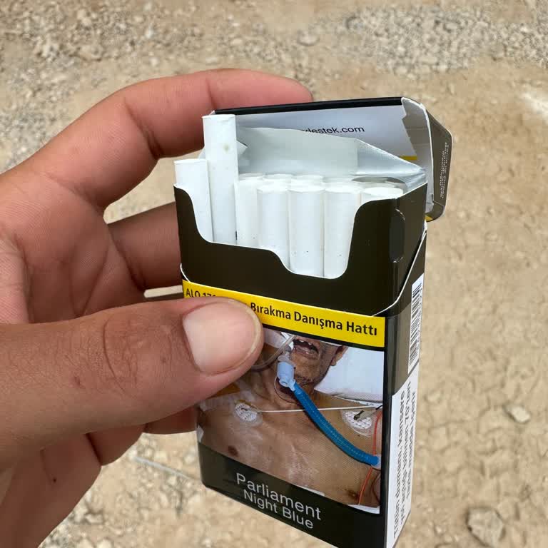 Philip Morris Sigaranın Zararları Küflü Sigara Satılarak Anlatılmamalı