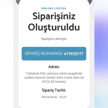 Online Lostra 2 Ay Ürün Teslim Etmiyor