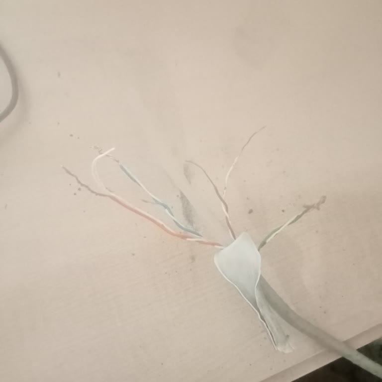D-Smart Net D-Smart Kurulum Sıkıntısı. Teknik Servis Jak Filan Takmadan Gitti