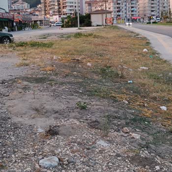 Bursa Büyükşehir Belediyesi Yardım Talebi