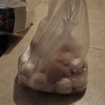 Beren Kuluçka Nem Sorunu Çözülmedi