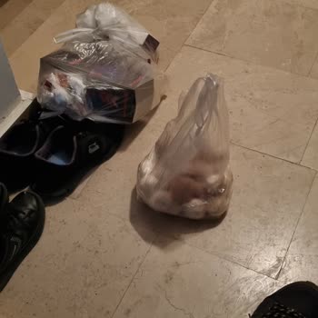 Beren Kuluçka Nem Sorunu Çözülmedi